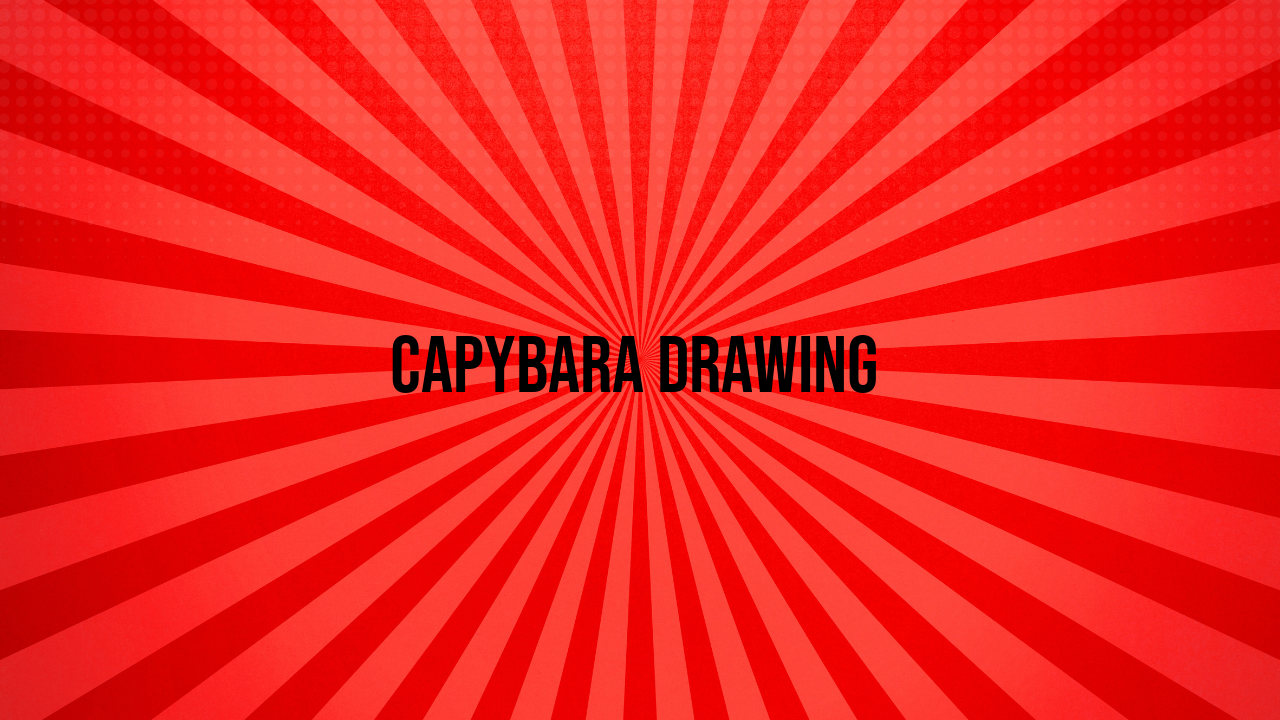 Capybara Drawing