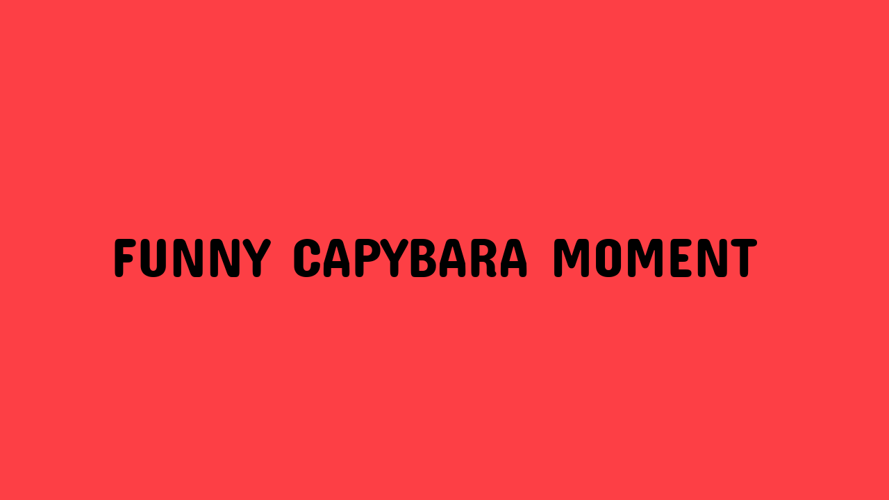 Funny Capybara Moment