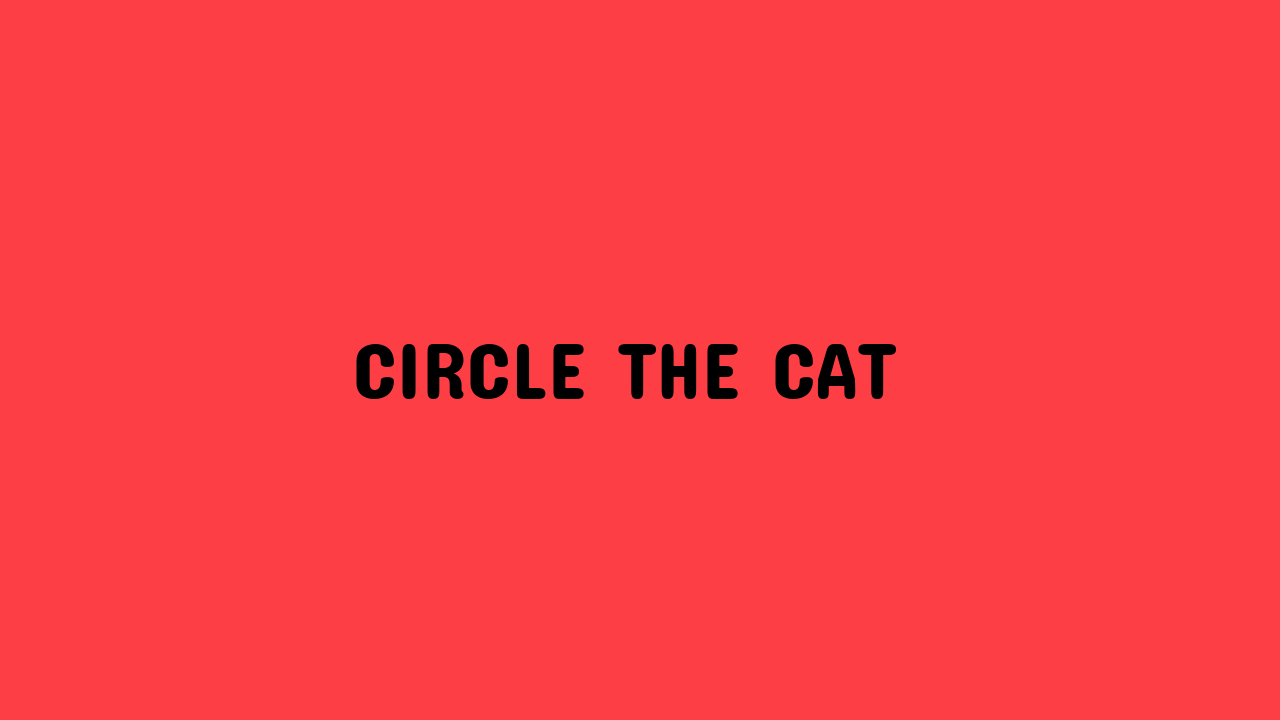 circle the cat
