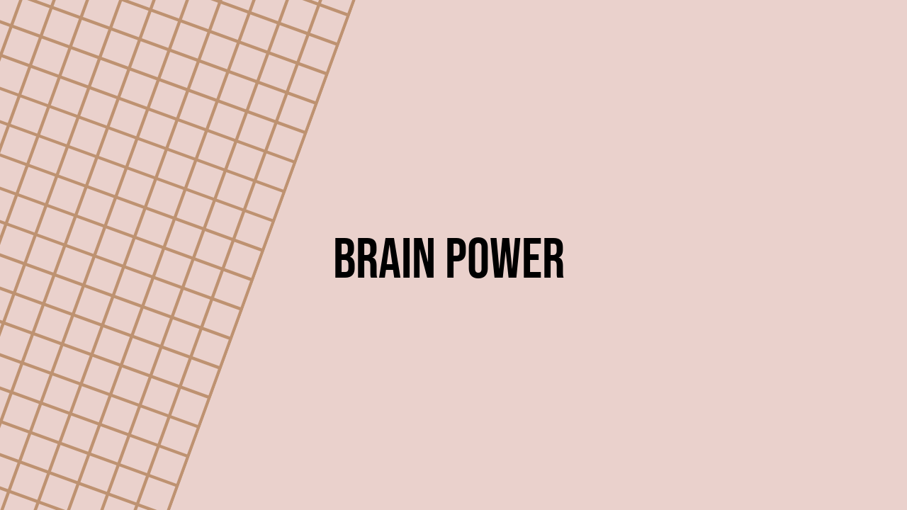Brain Power
