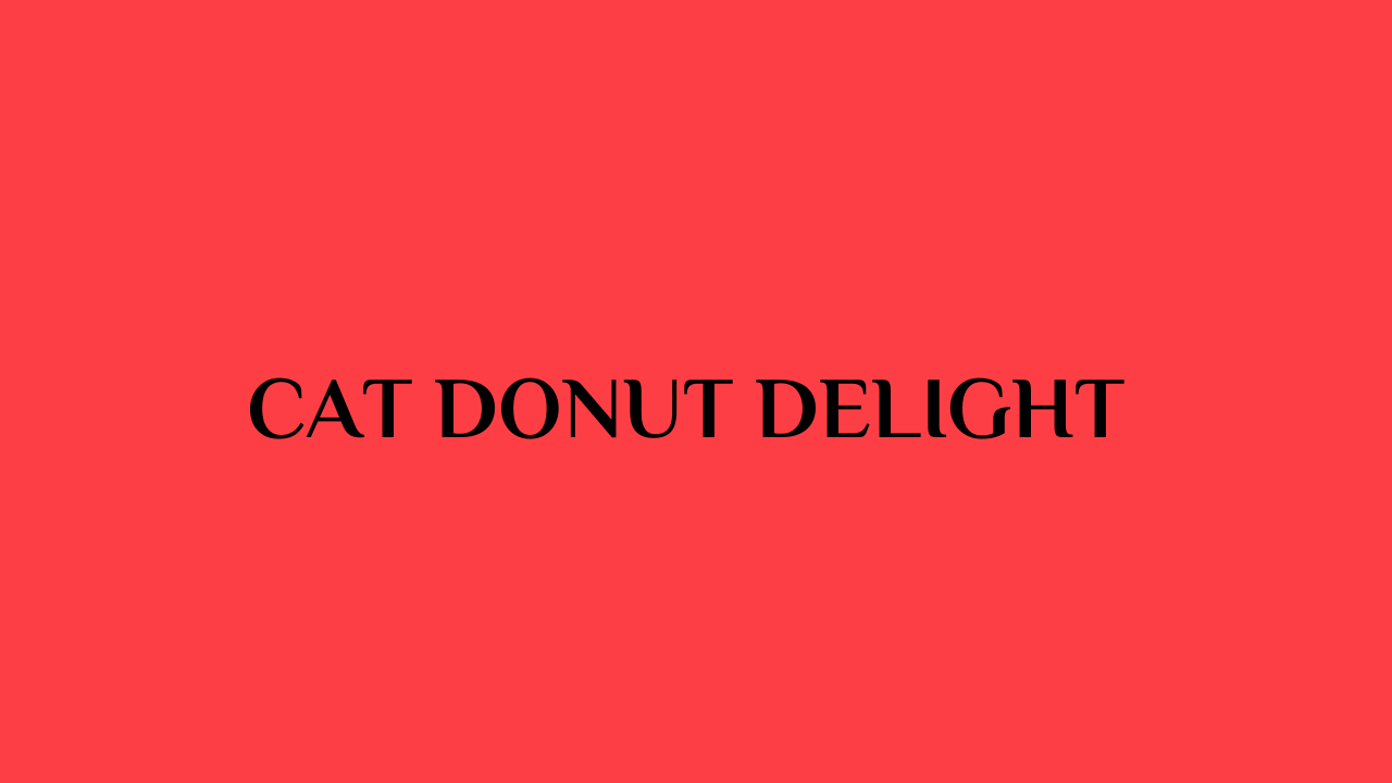 cat donut