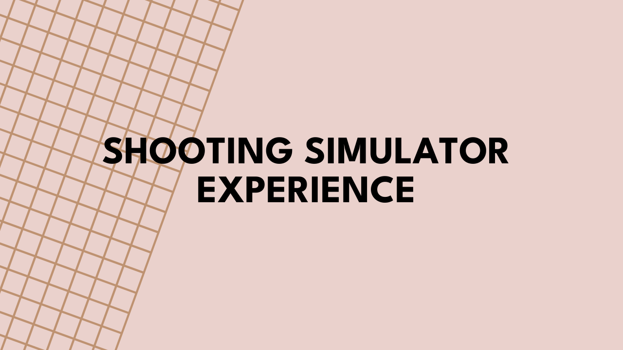 Shooting Simulator Experience