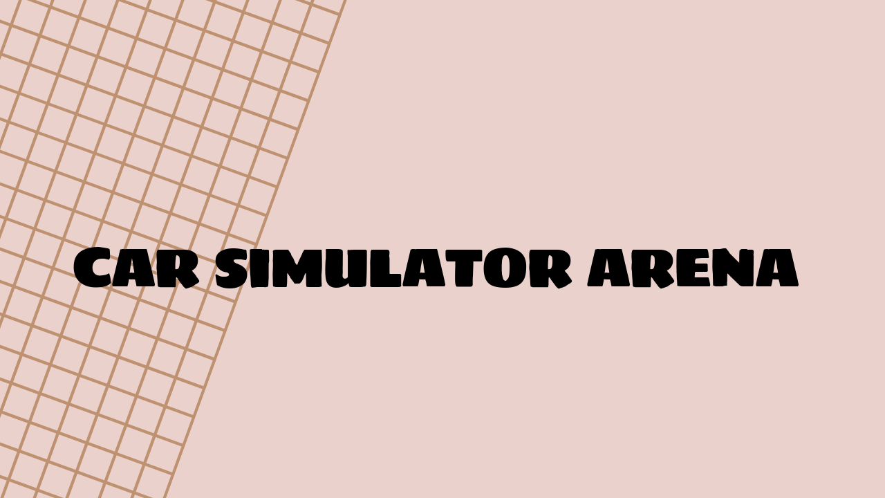 car simulator arena
