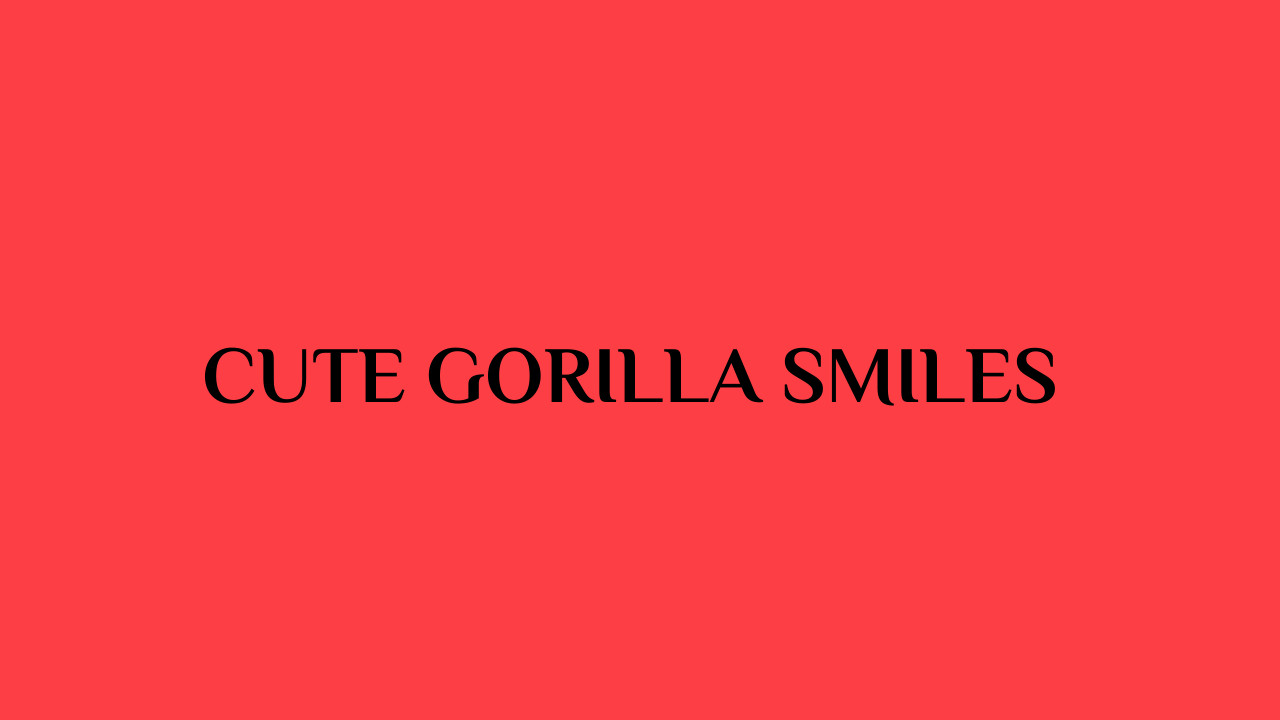 cute gorilla