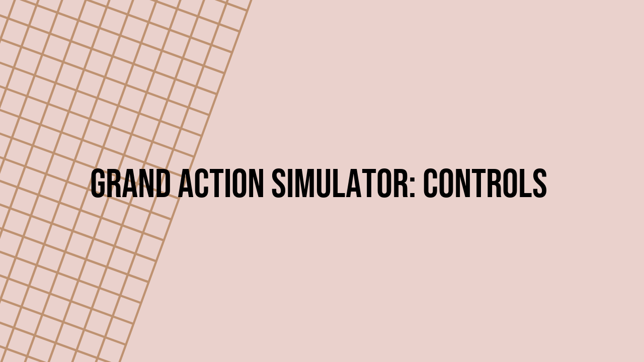 grand action simulator controls