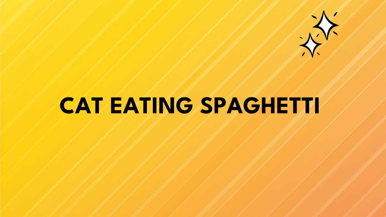 cat eating spaghetti