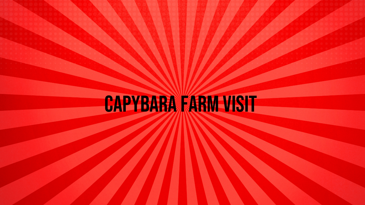 Capybara Farm Visit