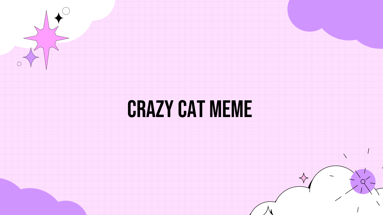 Crazy Cat Meme