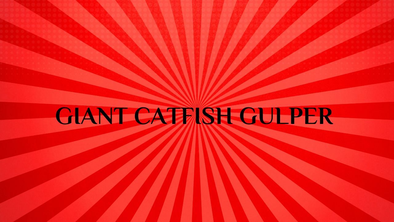 catfish gulper