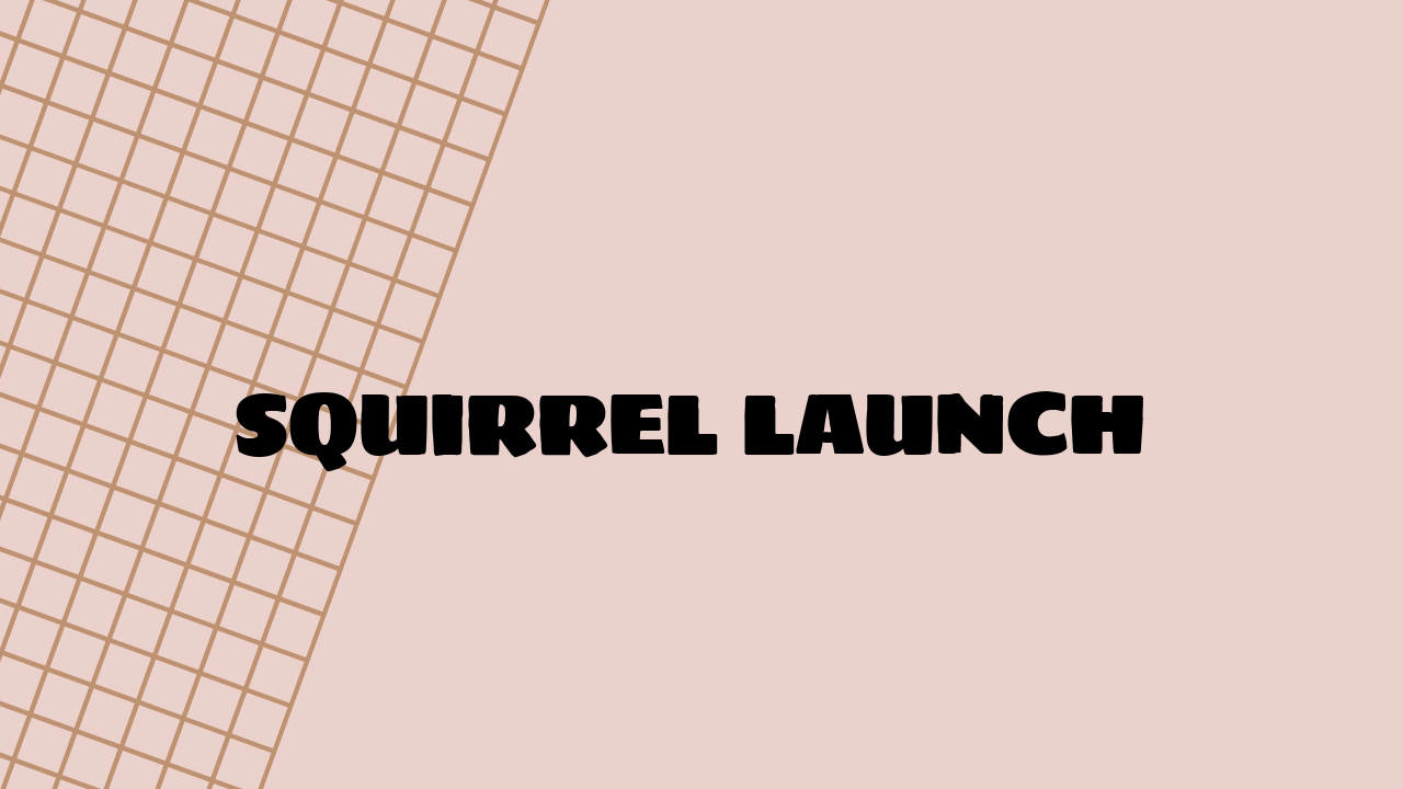Squirrel Launch