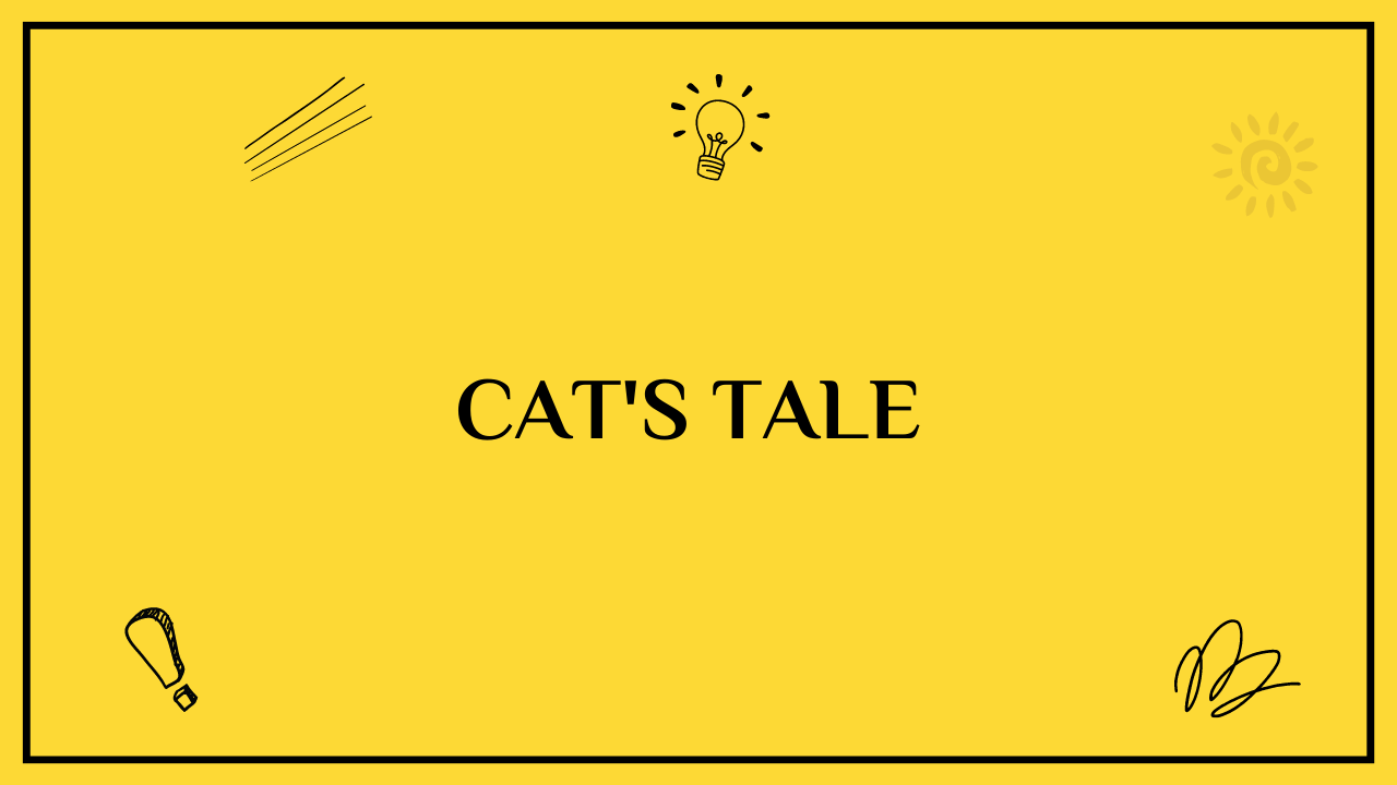 cat story