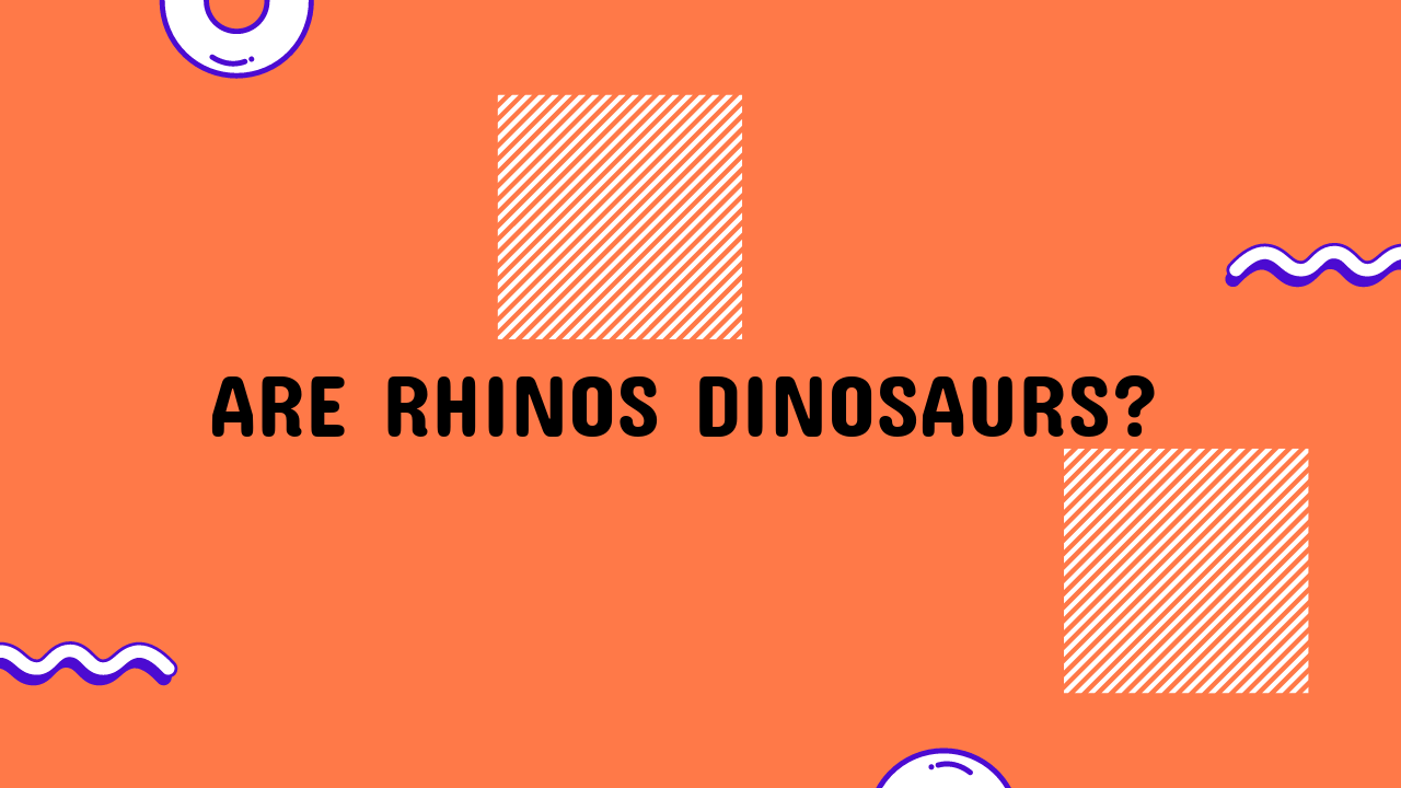 are rhinos dinosaurs