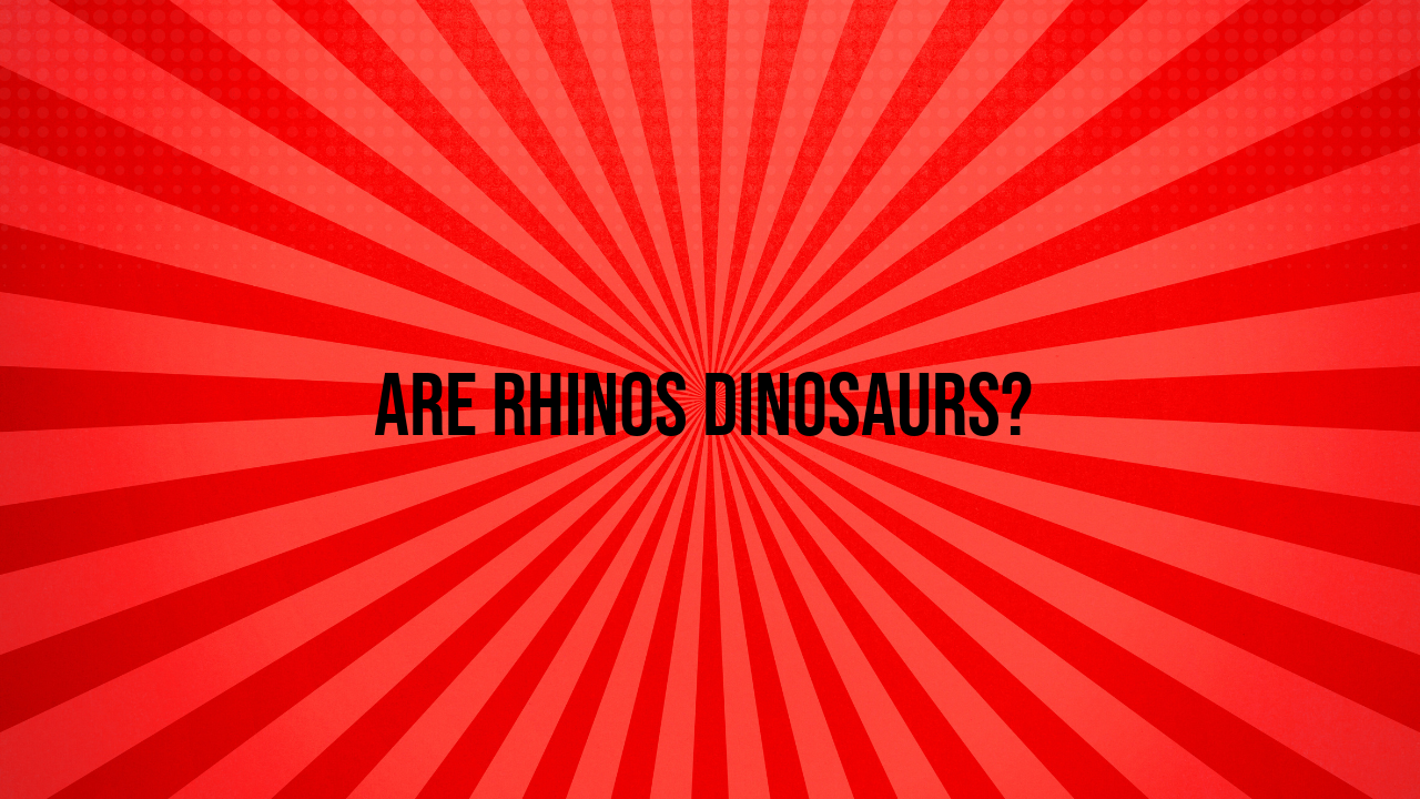 Are Rhinos Dinosaurs?