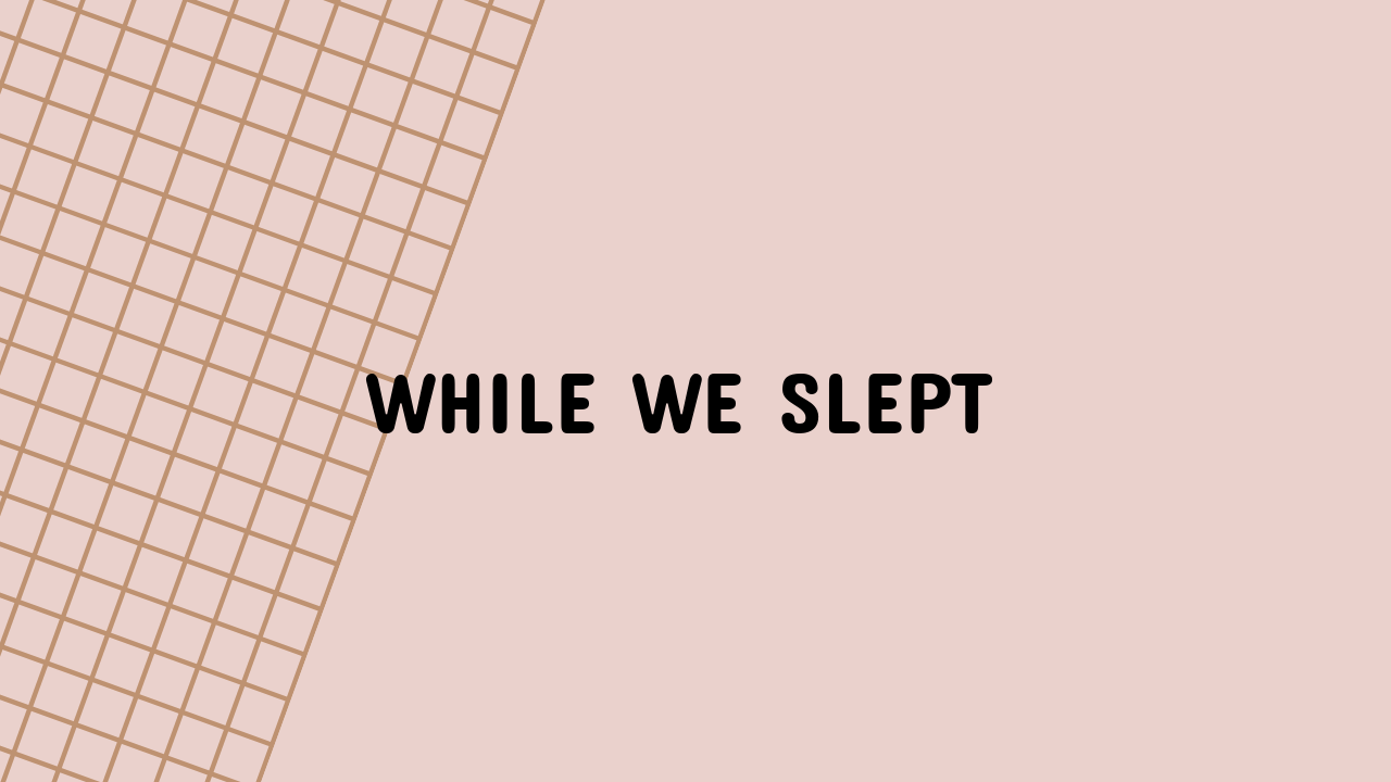 while we slept