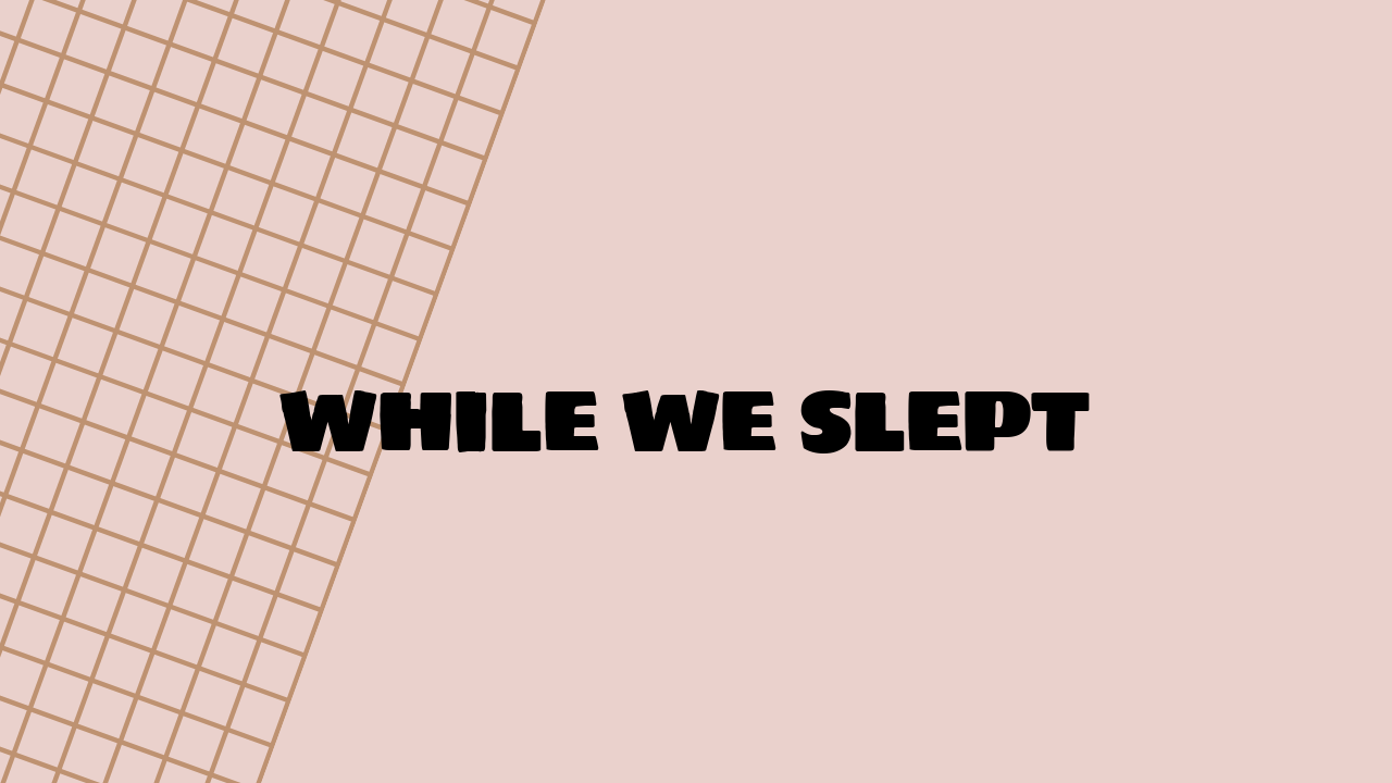 While We Slept