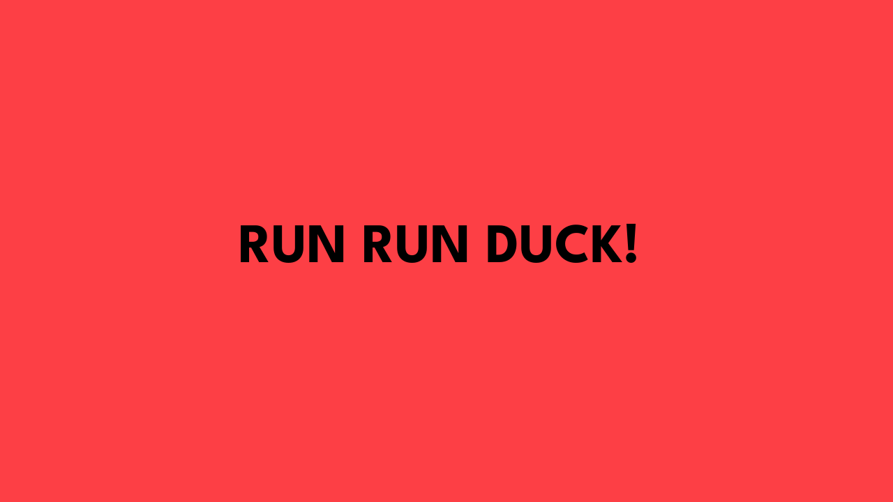 run run duck