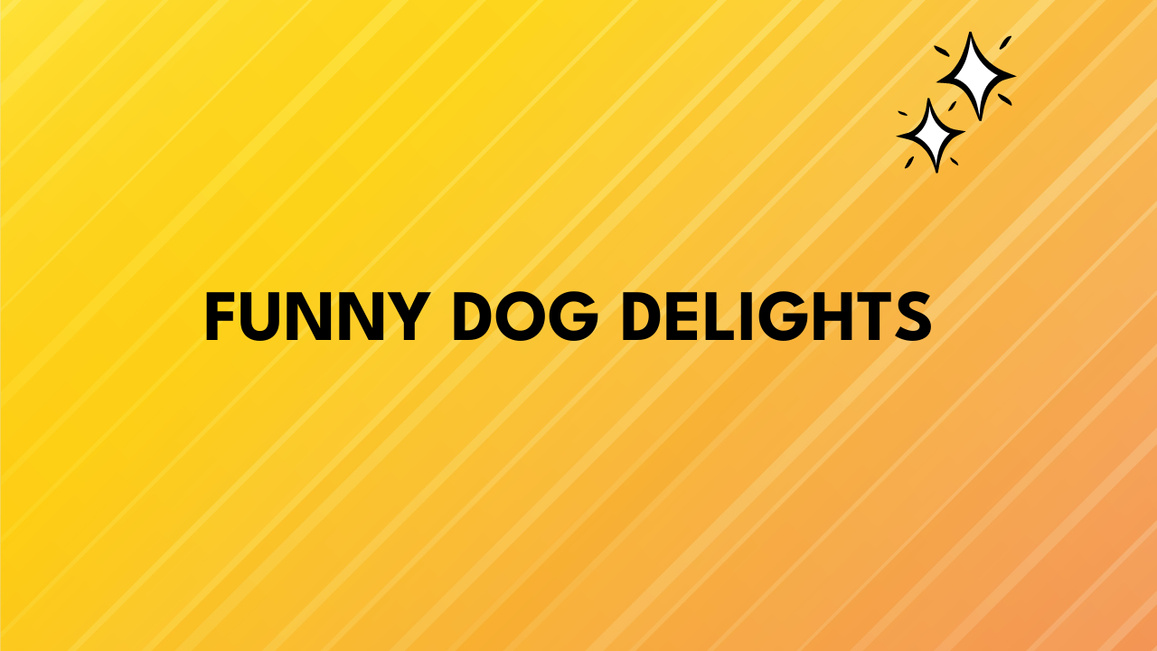 Funny Dog Delights