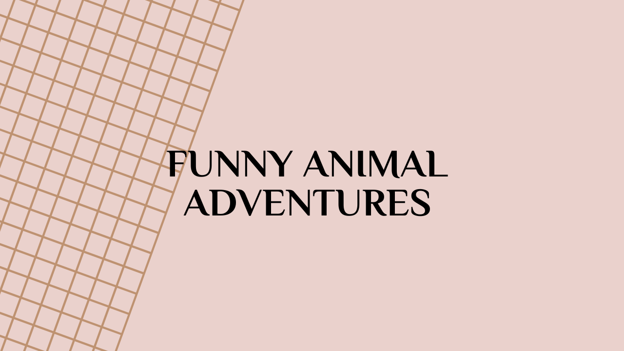 funny animal
