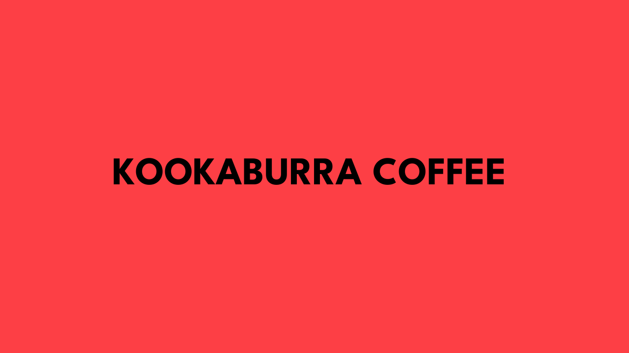 kookaburra coffee