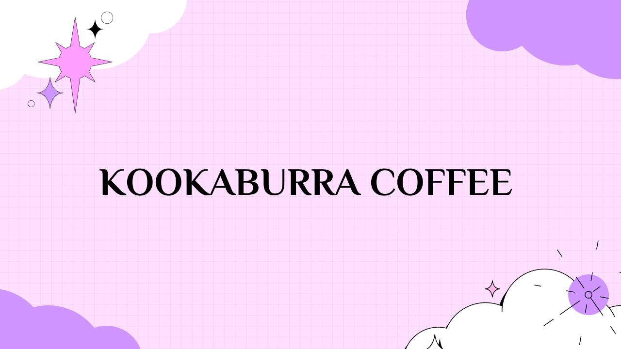 kookaburra coffee