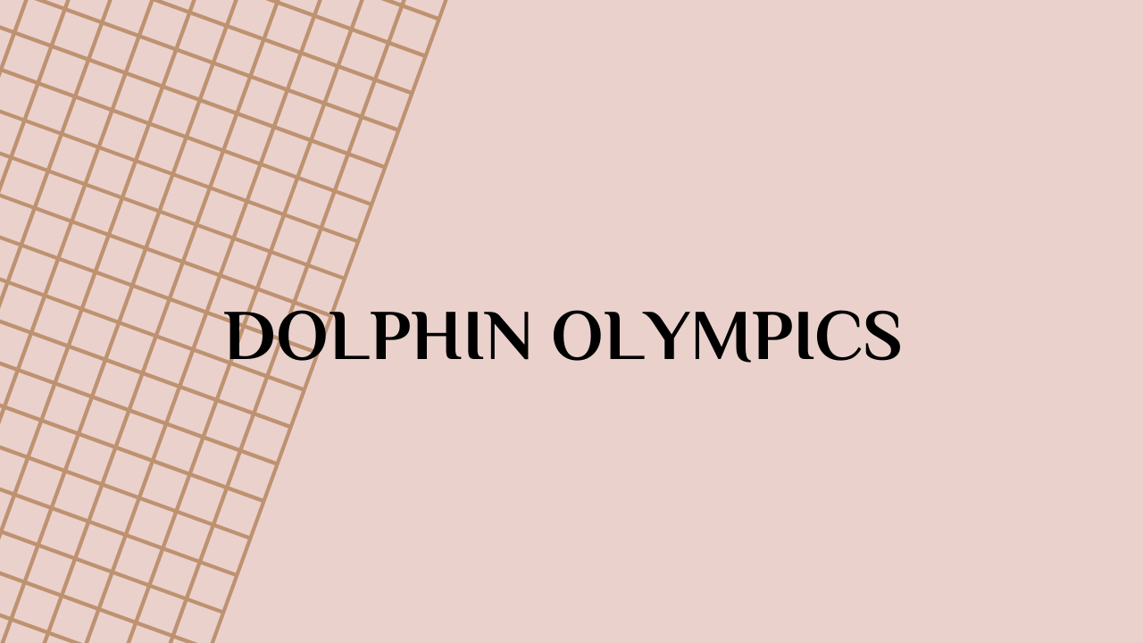 Dolphin Olympics