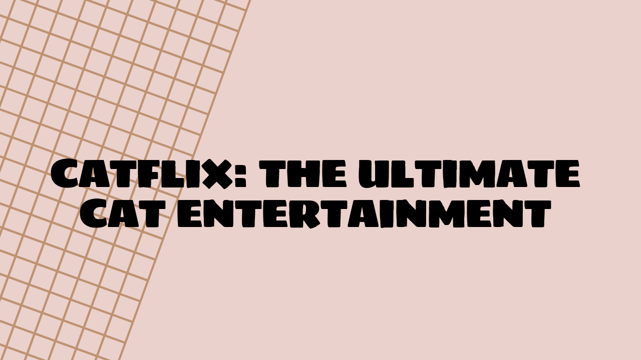 Catflix: The Ultimate Cat Entertainment