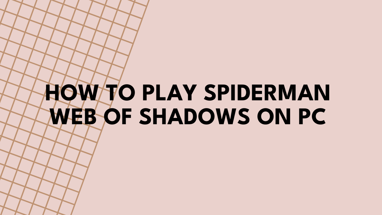 How to Play Spiderman Web of Shadows on PC