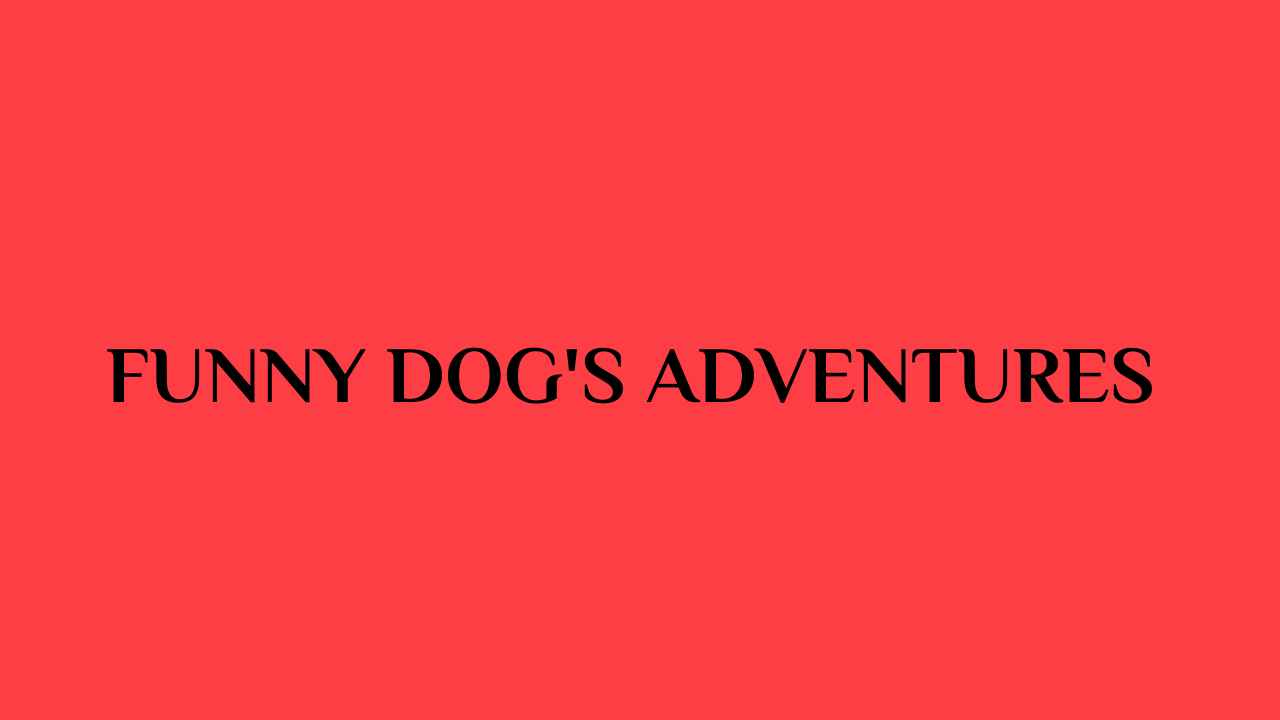 funny dog