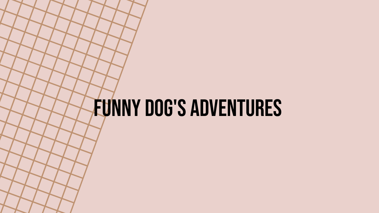 Funny Dog's Adventures